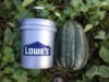 SEK Grower