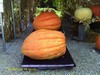 agteacher