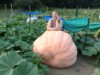 Genie in a Pumpkin