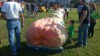 Big Daddy Punkin
