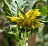 Altitude (to)maters (Scott)