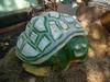 giaint green turtle