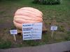 Iowa State Fair 3rd place