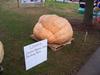 Iowa State fair Exhibition