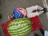 World record melon with Nathan Okorn who grafted the plant that grew the record.