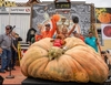 New WR Giant Pumpkin - Travis Gienger 2749