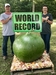 384.5 Terry WR Bushel Gourd