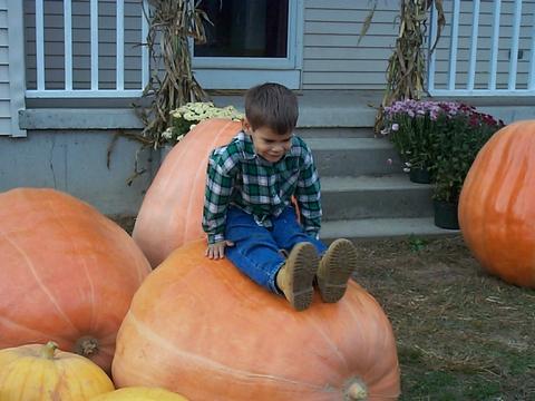 Pumpkin Slide