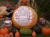 World Series Pumpkin