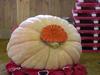 Won the NEPGA Wiberg award for the heaviest pumpkin from Maine at the Topsfield Fair