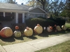 Pumpkin House 2010