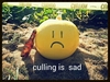 Culling is sad