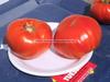 I'm better at tomatoes than pumpkins--Italian Sweet