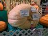 Jay Groepper's winning pumpkin