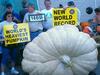 larry checkon world record pumpkin1469 