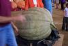 2002 Topsfield Fair - #78 - 571.2 lbs Squash by Henry Laughlin