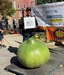 Tom Trombley WR Master Gardener - Bushel Gourd
