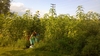 My twin girls in the garden