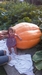 grand daughter and pumpkin