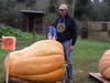 Fog Belt Pumpkin Competion 