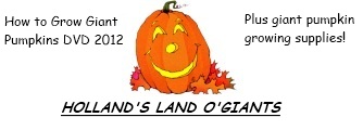 How to Grow Giant Pumpkins 2012 DVD by Hollands Giants