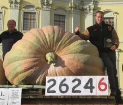 2624.6 Willemijns 2016