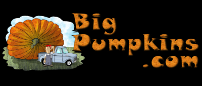 BigPumpkins.com Site Banner by Bori Graphix