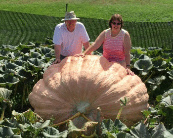 Wallace Organic Wonder