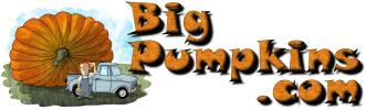 BigPumpkins.com