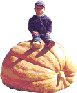 Link To: Giant Pumpkins